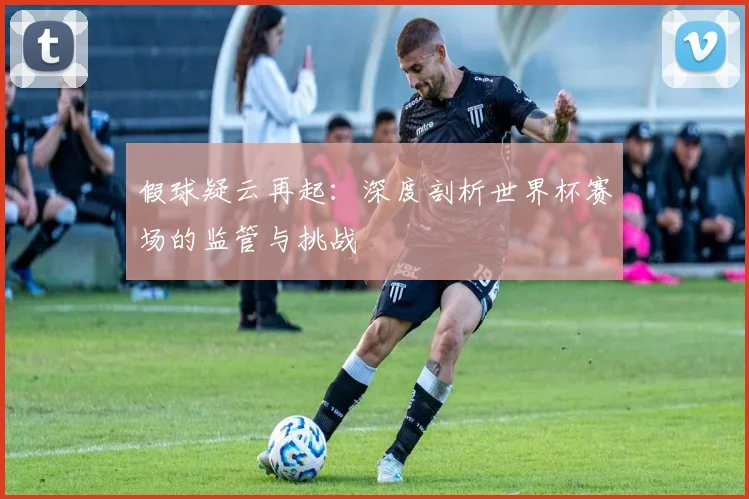 假球疑云再起：深度剖析世界杯赛场的监管与挑战