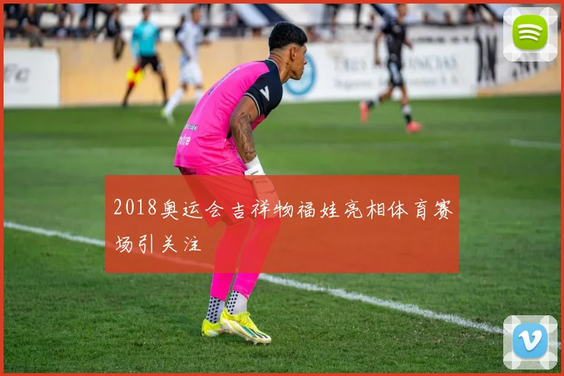 2018奥运会吉祥物福娃亮相体育赛场引关注