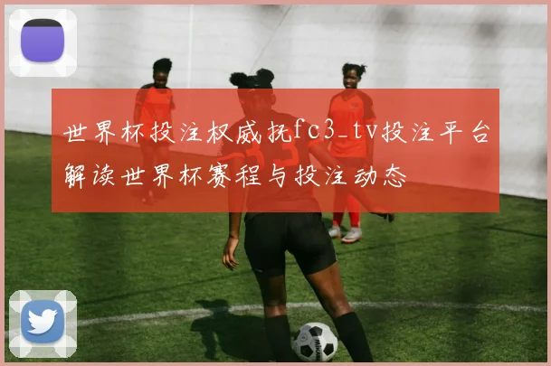 世界杯投注权威抚fc3_tv投注平台解读世界杯赛程与投注动态