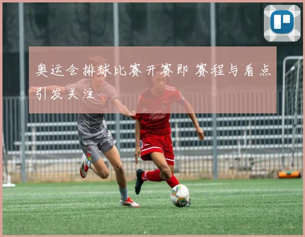 奥运会排球比赛开赛即 赛程与看点引发关注