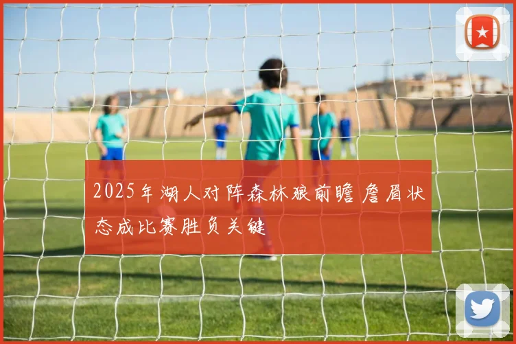 2025年湖人对阵森林狼前瞻 詹眉状态成比赛胜负关键