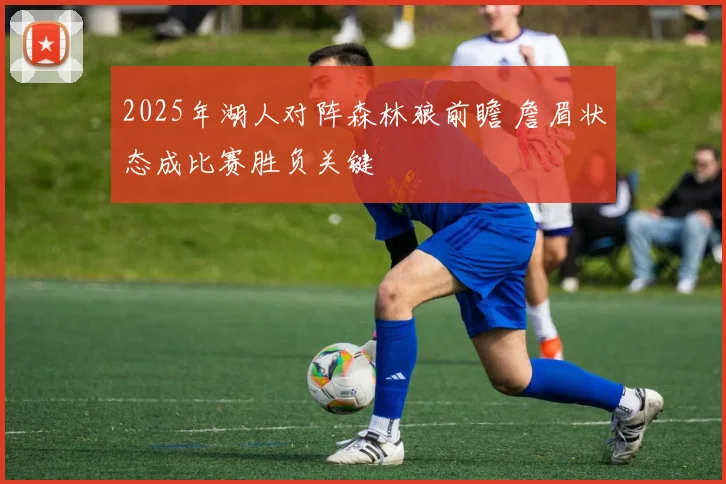 2025年湖人对阵森林狼前瞻 詹眉状态成比赛胜负关键